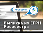 vipiska_egrn