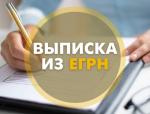 egrn_vipiska1
