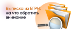 выписка ЕГРН