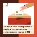 мобильный избиратель
